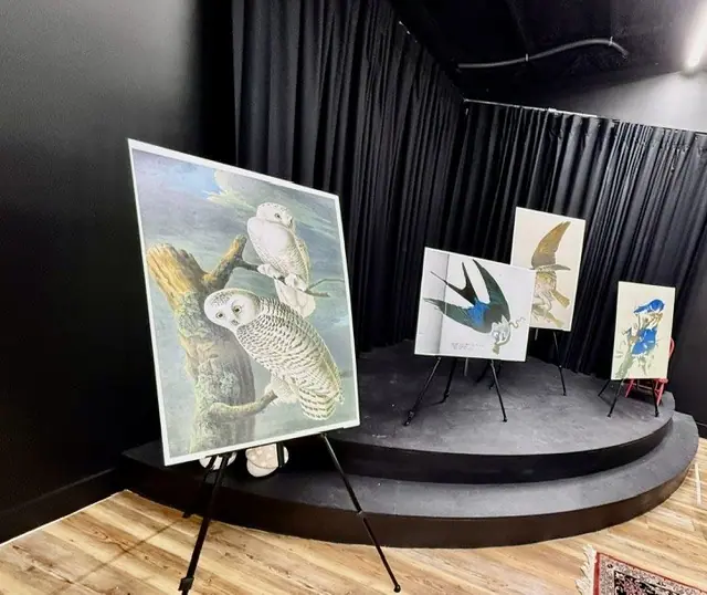 Framed bird paintings displayed on easels in the black box theater