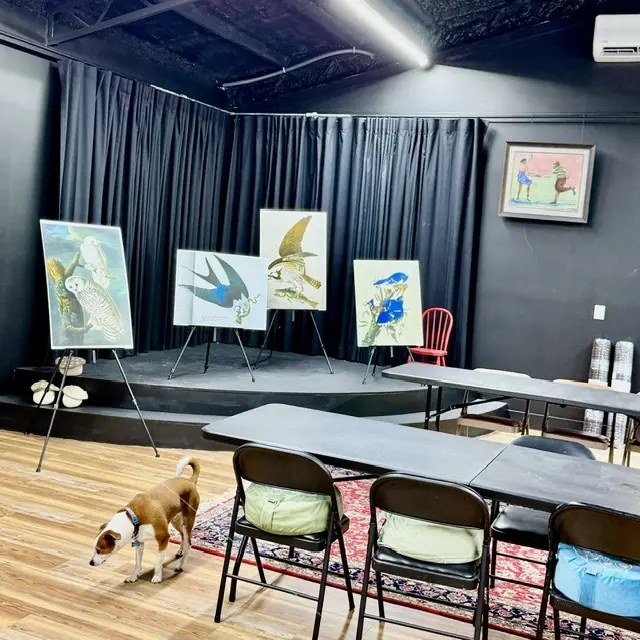 Paintings on easels in the black box theater, a dog crossing the floor